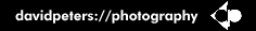 DP Logo